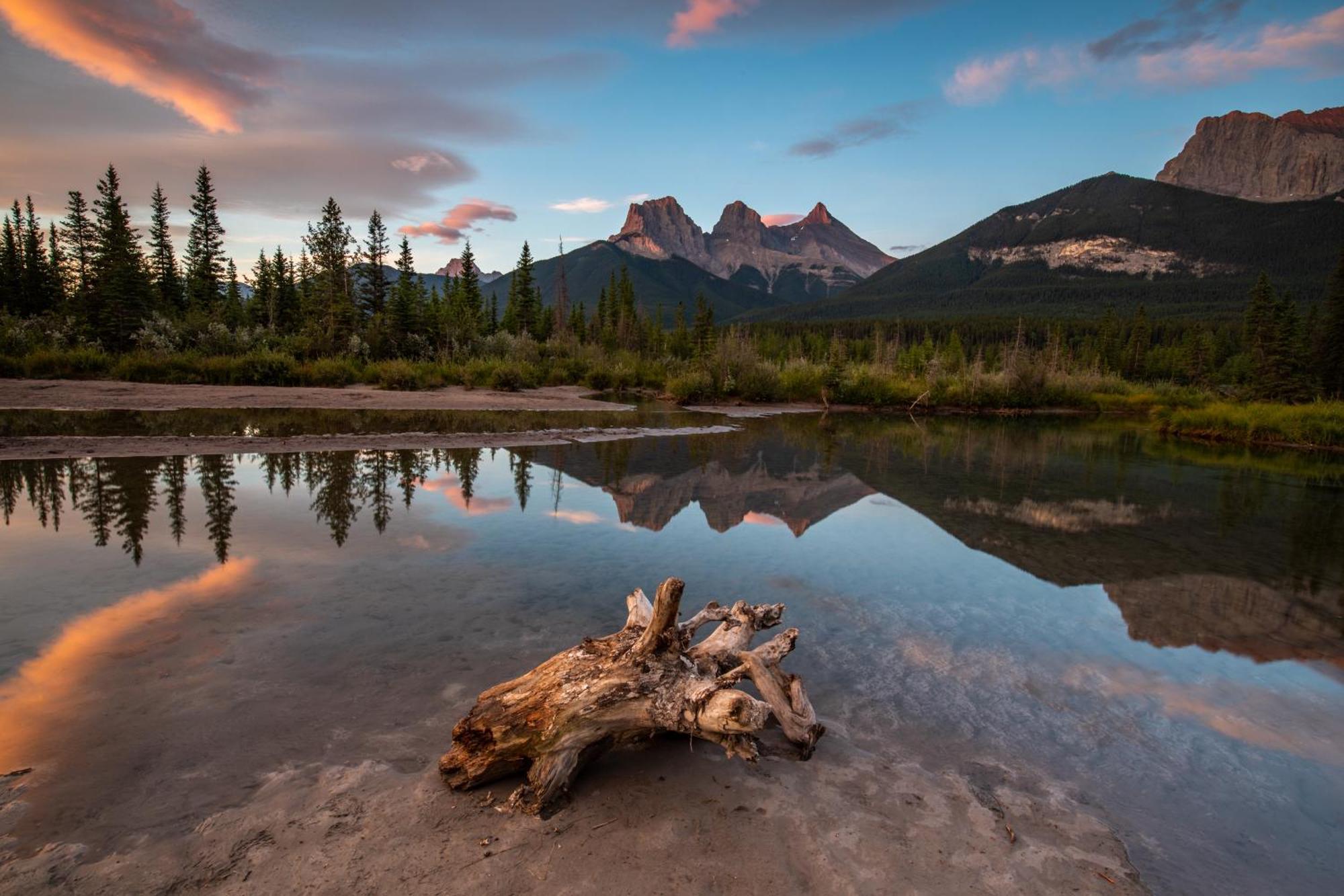 A Bear And Bison Country Inn Canmore Zewnętrze zdjęcie
